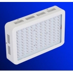 LED Grow Light